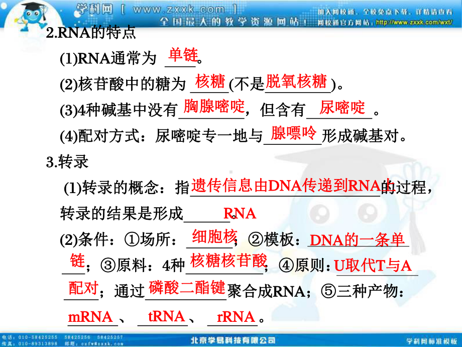 2011高三生物一轮复习课件：第20讲 遗传信息的表达—RNA和蛋白质的合成.ppt_第2页