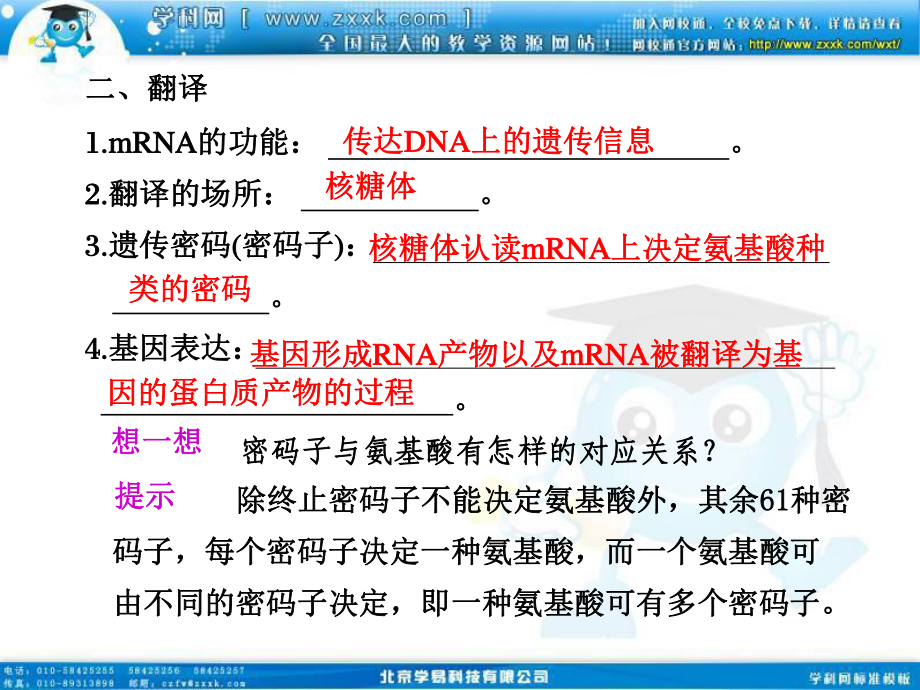 2011高三生物一轮复习课件：第20讲 遗传信息的表达—RNA和蛋白质的合成.ppt_第3页