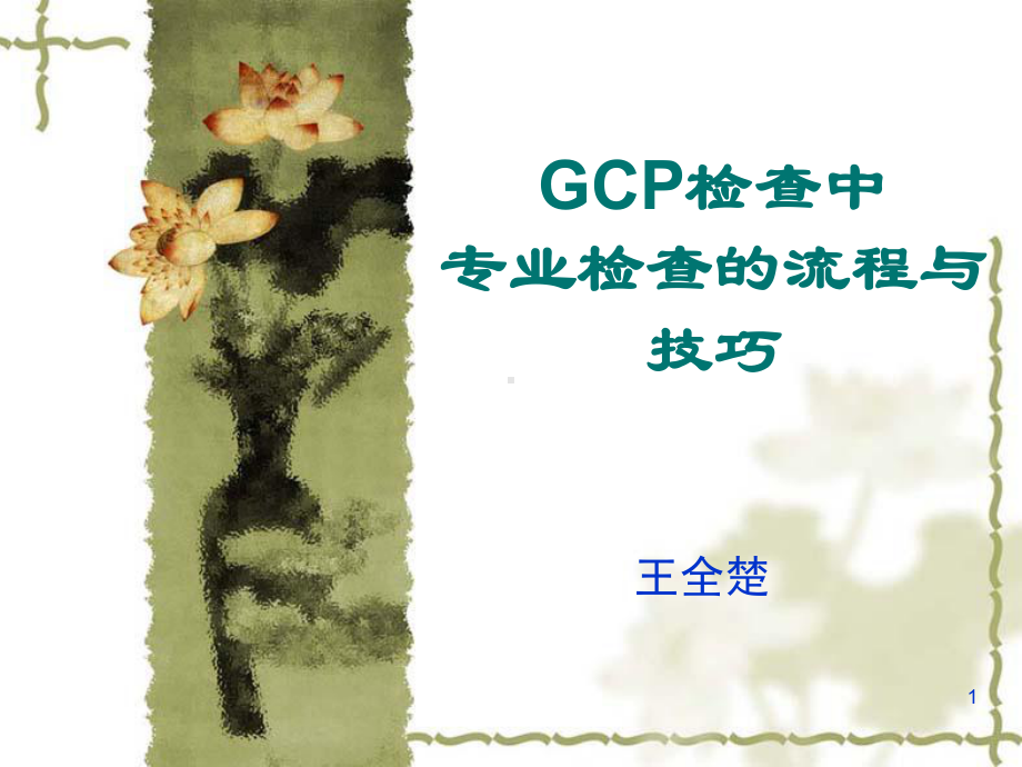 GCP检查中专业检查的流程与技巧课件.pptx_第1页