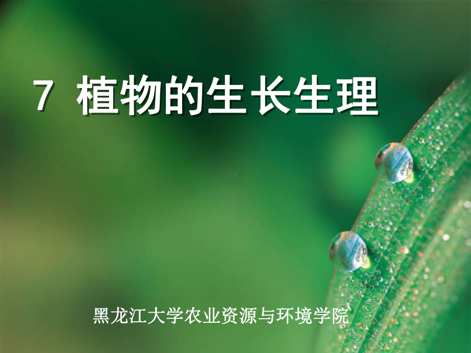 -植物生长生理课件.ppt_第1页