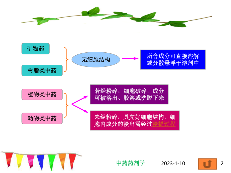 中药的浸提课件.pptx_第2页