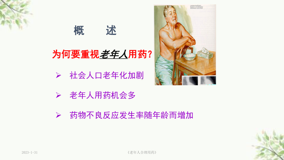 《老年人合理用药》课件.ppt_第2页