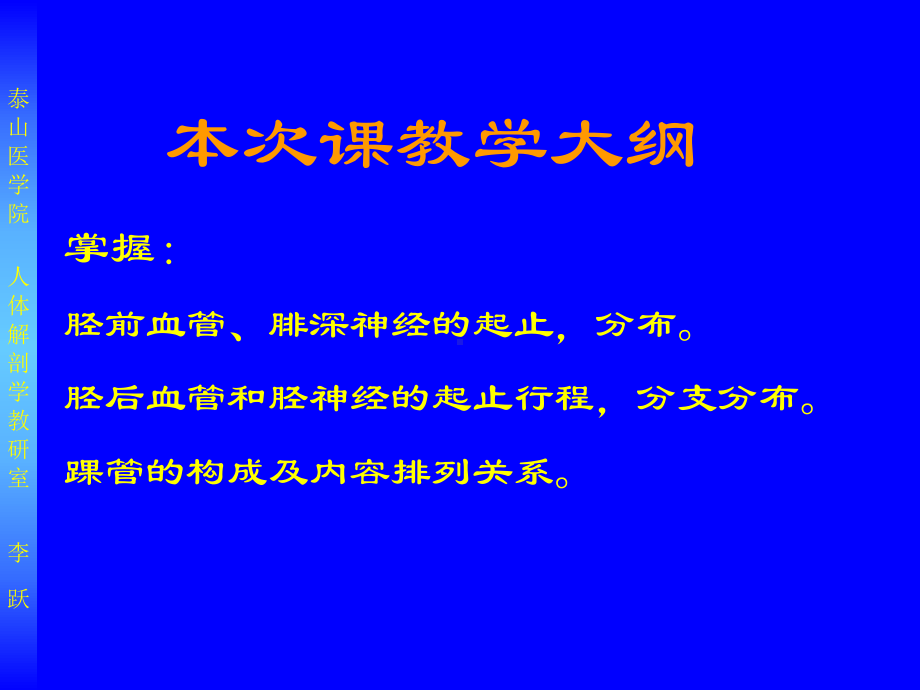 下肢局解m教学哈尔滨医科大学局解局部解剖学教学课件.ppt_第1页