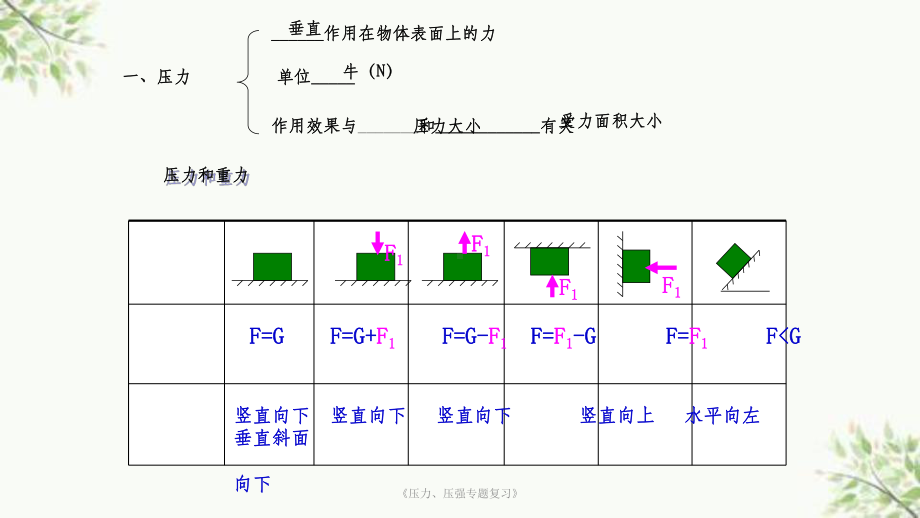 《压力、压强专题复习》课件.ppt_第2页