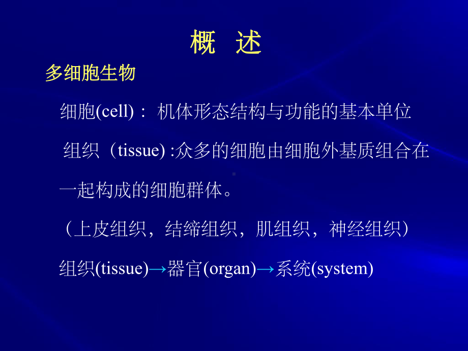 《细胞外基质》课件.ppt_第3页