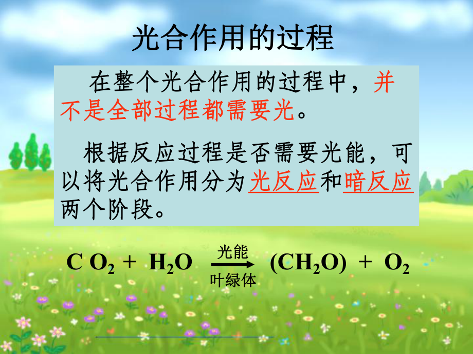 21第二节光合作用过程和影响因素课件.ppt_第1页