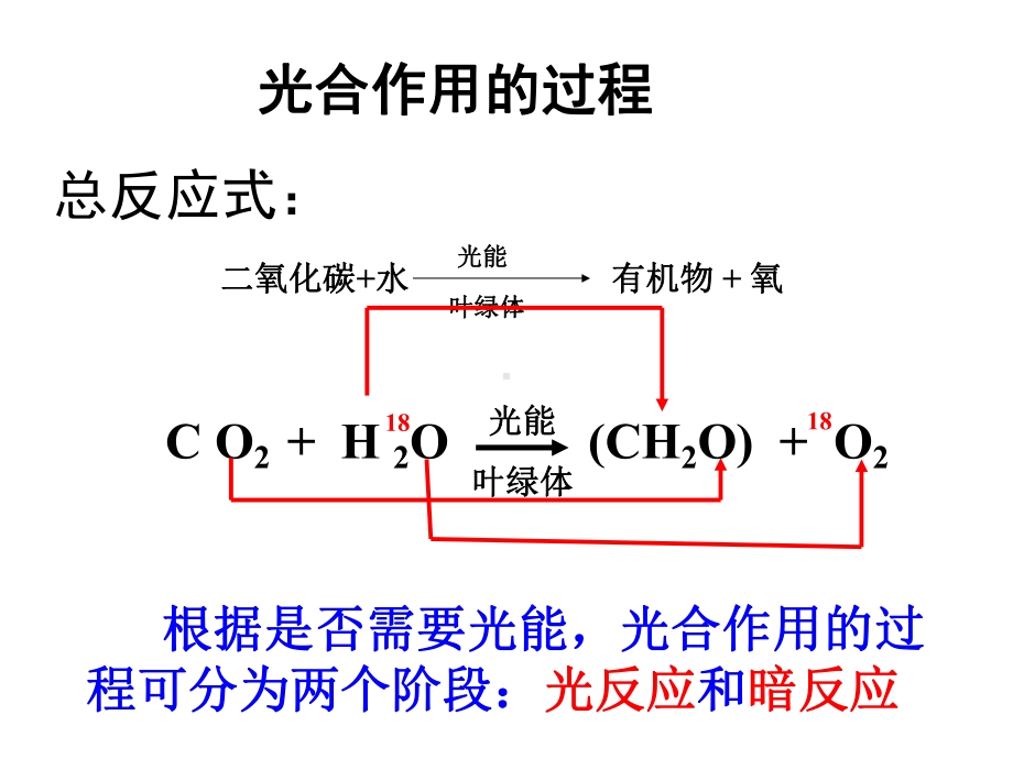 21第二节光合作用过程和影响因素课件.ppt_第2页