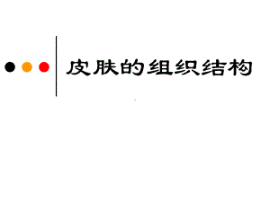 3皮肤的组织结构课件002.ppt