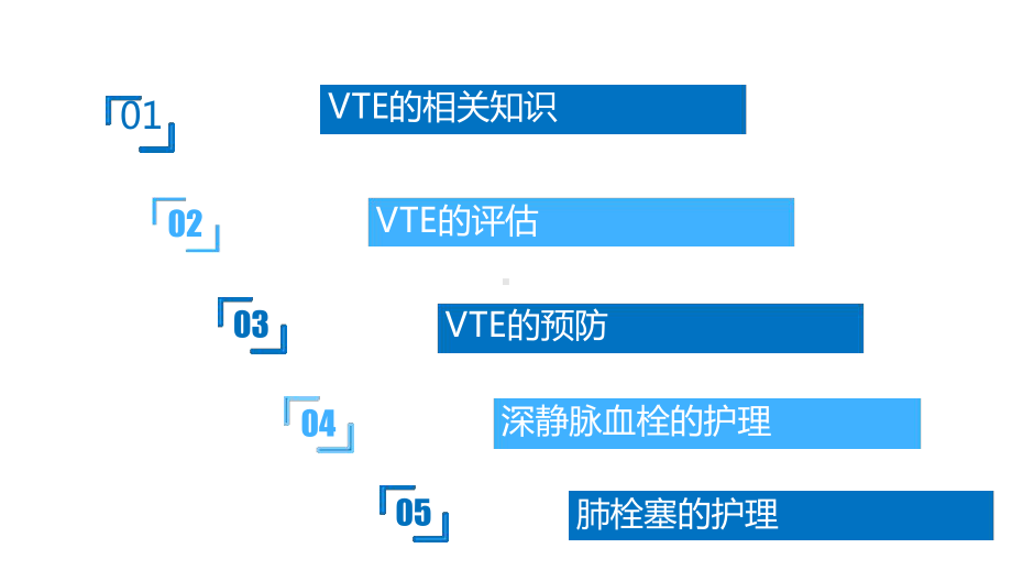 VTE的预防和的护理教学课件.ppt_第2页