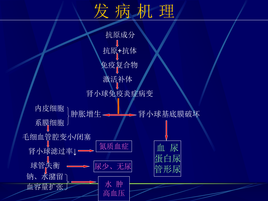 （急性肾小球肾炎） 精美医学课件资料.ppt_第3页