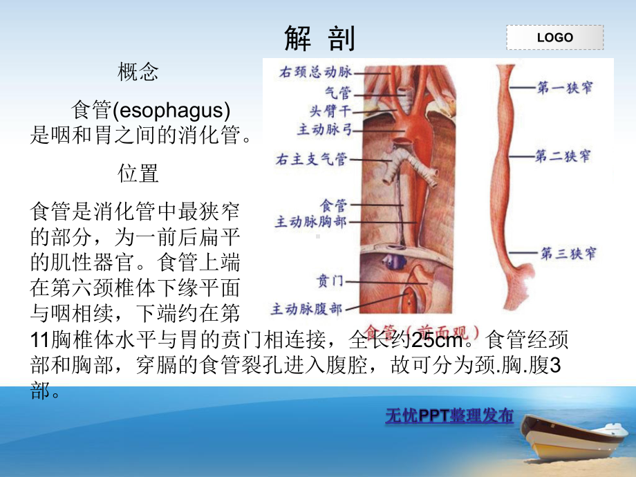 一例食道癌根治术的护理查房课件.ppt_第3页