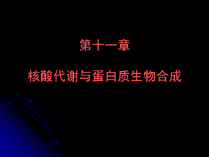 09 核酸代谢课件.ppt