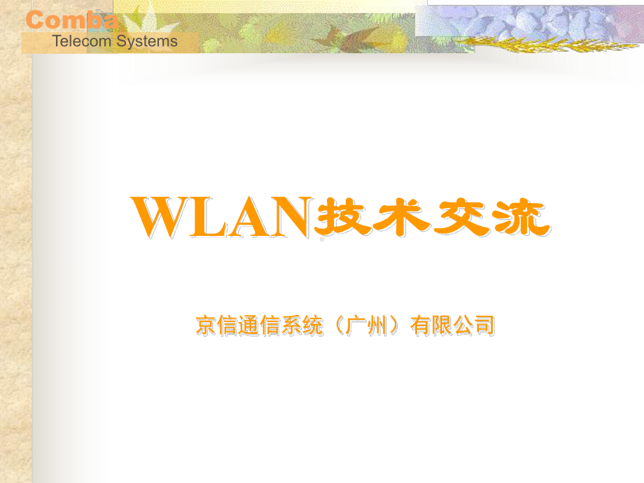 WLAN基础技术交流课件.ppt_第1页