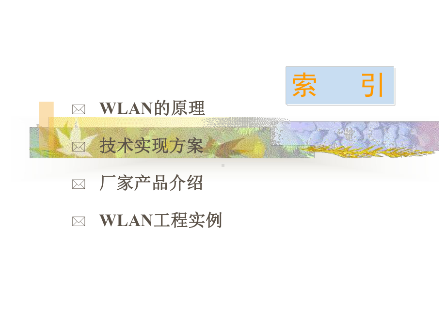 WLAN基础技术交流课件.ppt_第2页