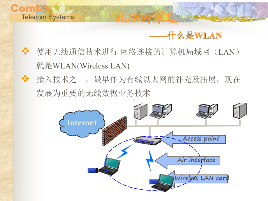 WLAN基础技术交流课件.ppt_第3页