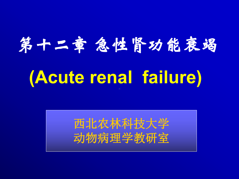 （农学）CHAPT11肾功能不全(2H)模版课件.ppt_第1页