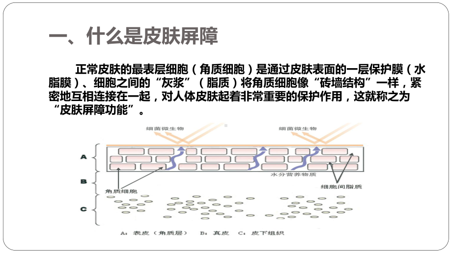 《修复皮肤屏障保湿类护肤品应用指南》解读课件.ppt_第3页