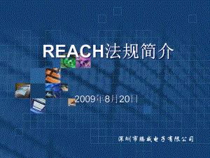 2020年REACH法规简介参照模板课件.pptx