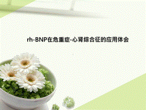 rhBNP在危重症心肾综合征的应用体会课件讲义.ppt