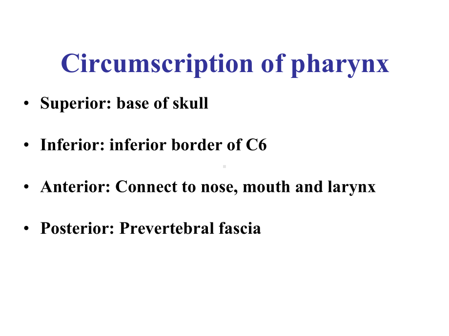 上海交通大学耳鼻咽喉科学英文版课件 anatomy of pharynx.ppt_第3页