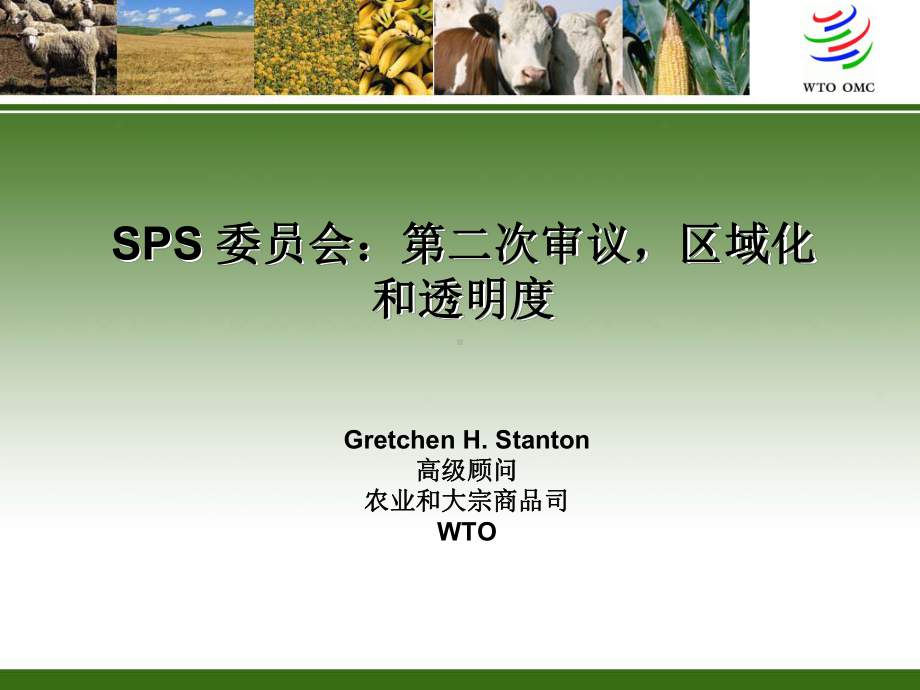 SPS委员会：第二次审议区域化和透明度课件.ppt_第1页