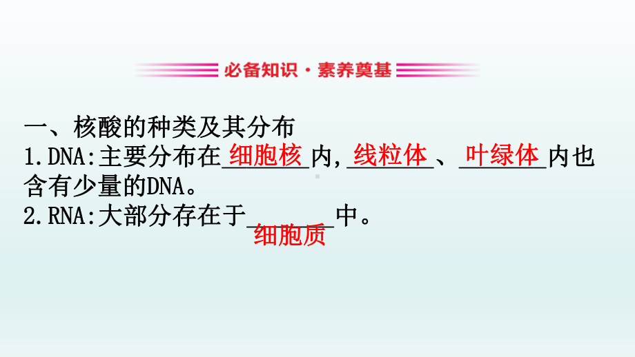 《核酸是遗传信息的携带者》组成细胞的分子(最新)课件.pptx_第3页