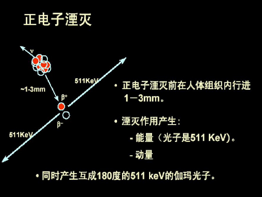 PETCT检查及其在肺部疾病诊疗中的应用课件.ppt_第3页