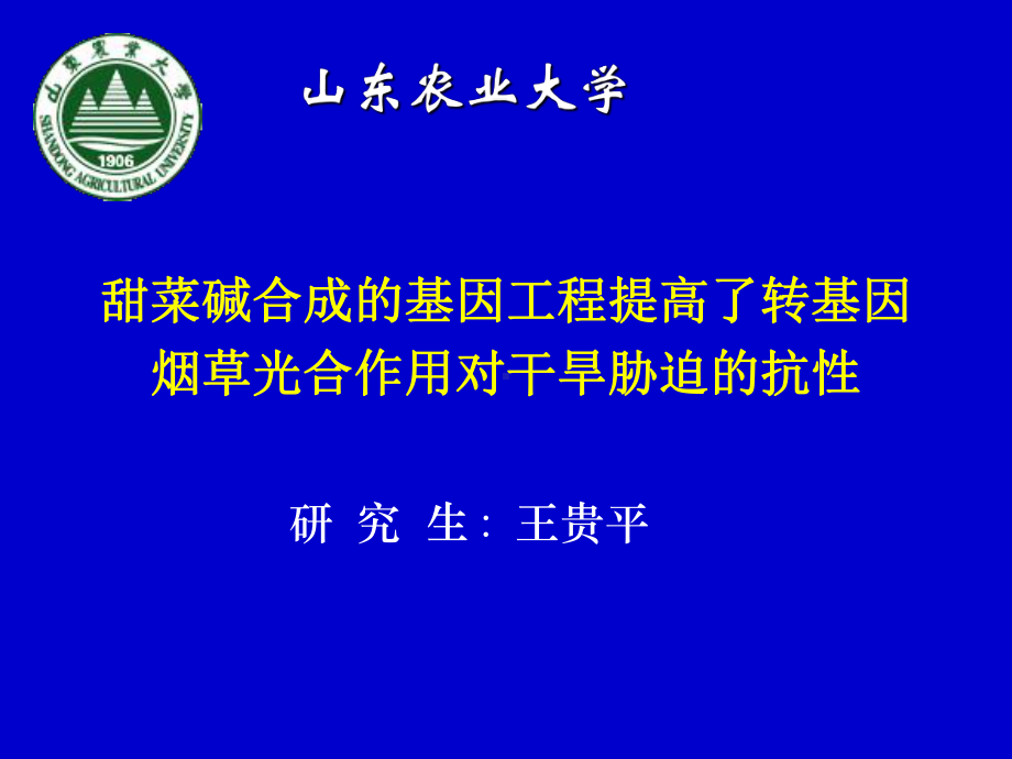 1甜菜碱合成的基因工程提高了转基因烟草光合作用对干旱课件.ppt_第1页