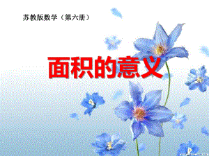 《面积的含义》长方形和正方形的面积优秀课件.ppt