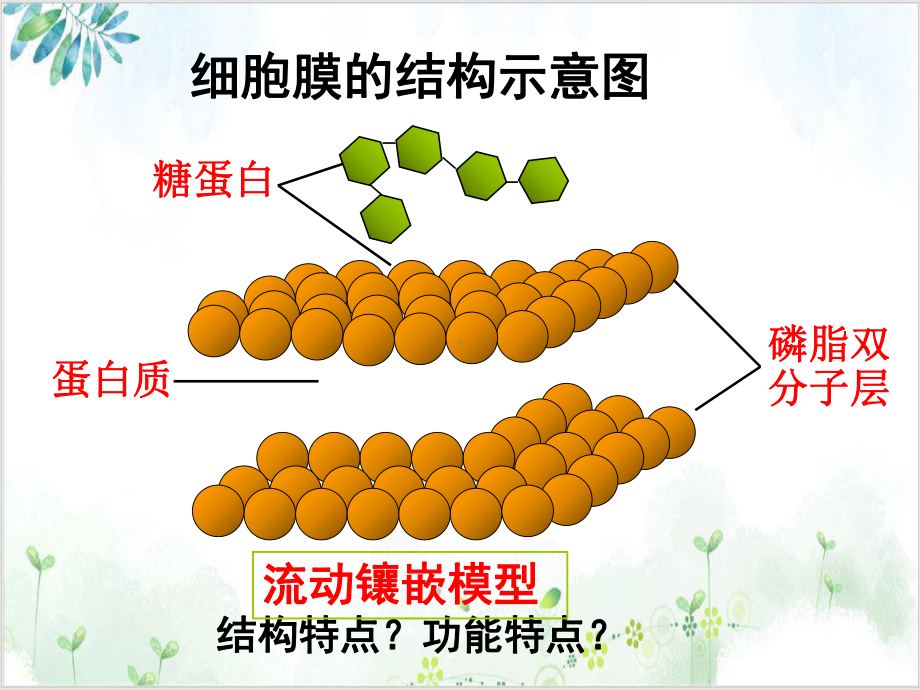 [人教版]《物质跨膜运输的方式》公开课课件1.ppt_第1页