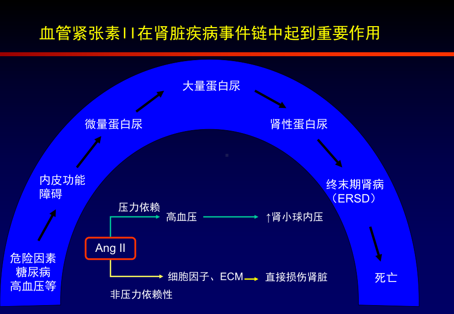 KDOQI血压正常的糖尿病和大量蛋白尿患者应使用ACEIs或ARBs治疗课件.ppt_第3页