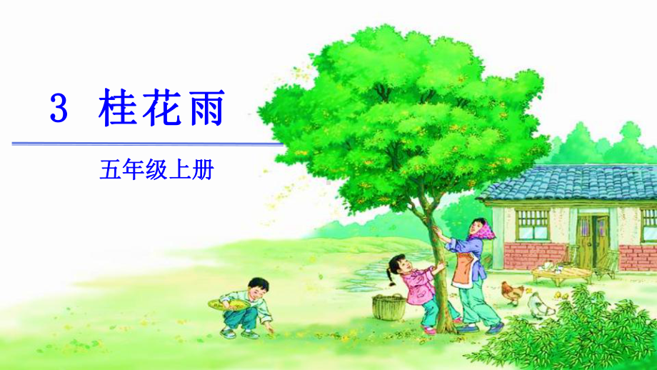 (部编本教材)五年级上册桂花雨1课件.pptx_第2页