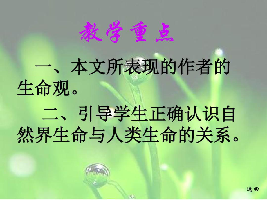 、一滴水可以活多久课件.ppt_第3页