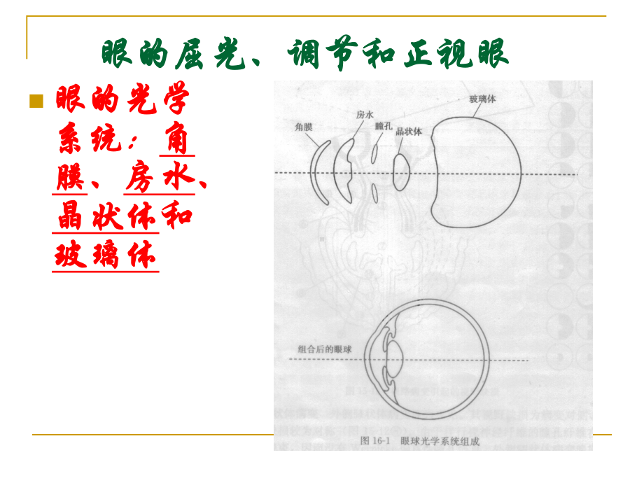 5、屈光不正和老视病人的护理课件.ppt_第2页