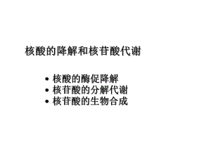 [化学]核酸代谢课件.ppt