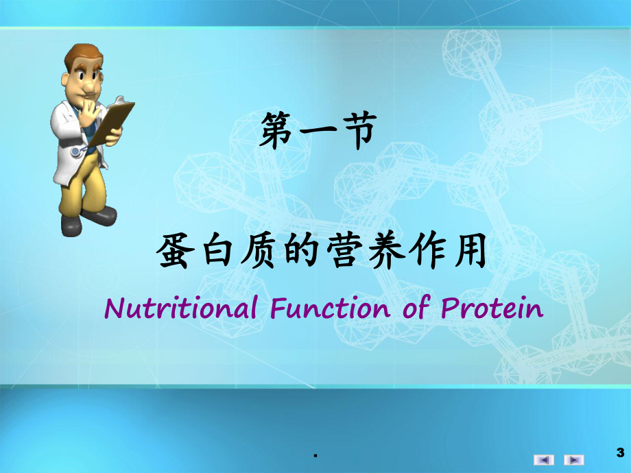 [生化]氨基酸代谢x课件.ppt_第3页