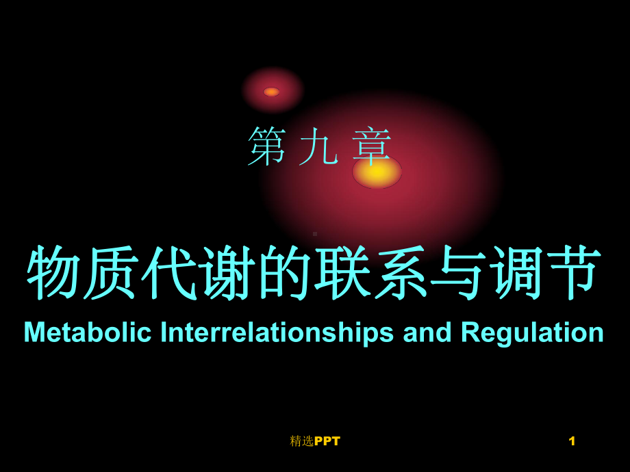 《物质代谢与联系》课件.ppt_第1页