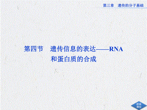 2013高二生物同步课件：34 遗传信息的表达-RNA和蛋白质的合成（浙科版必修2）.ppt