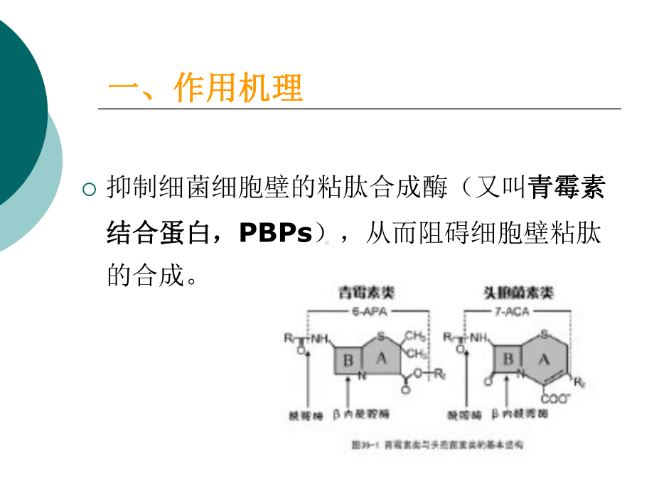 B内酰胺类抗菌素的临床合理使用课件2.ppt_第3页