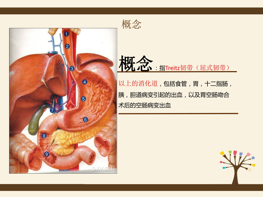 上消化道出血的护理查房课件讲义.ppt_第3页