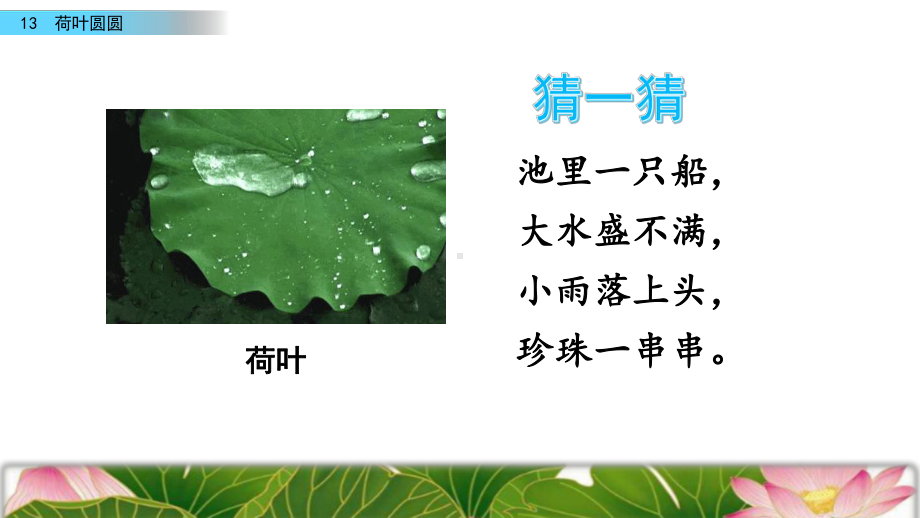 (最新整理)部编版语文一年级下册13荷叶圆圆春季课件.pptx_第1页