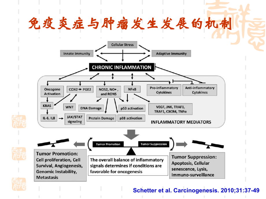 [医疗保健]免疫炎症相关基因多态性与课件.ppt_第2页