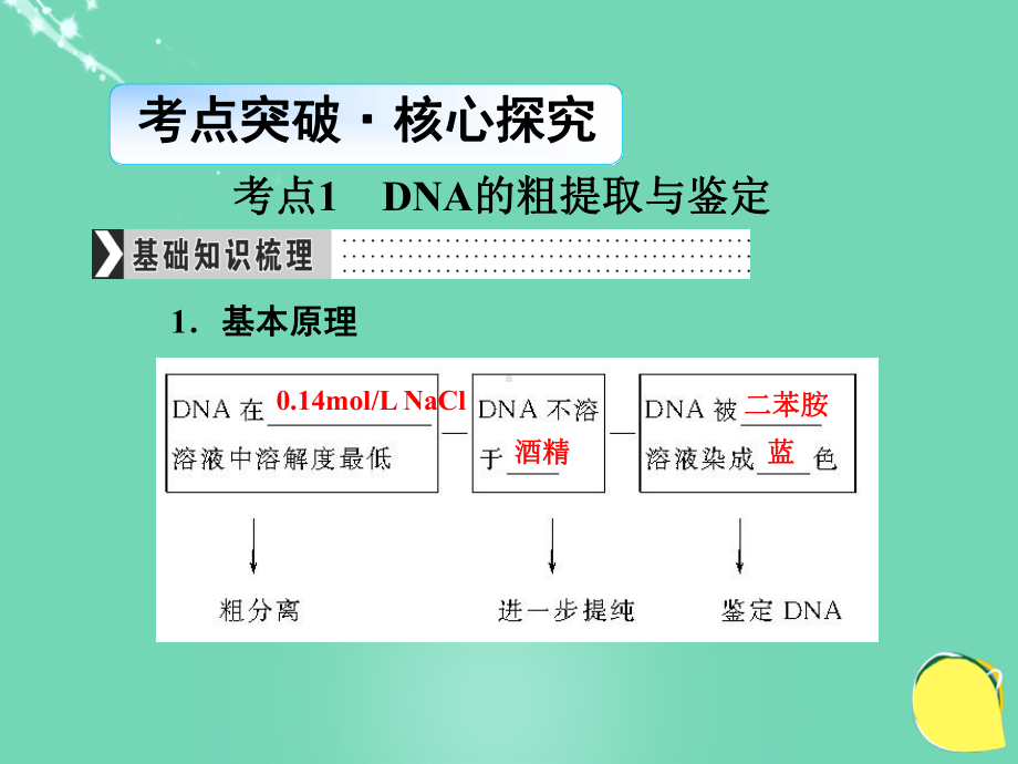 （导学教程）2017高考生物一轮复习 生物技术实践 专题四 dna和蛋白质技术与植物有效成分的提取课件（选修1）.ppt_第3页