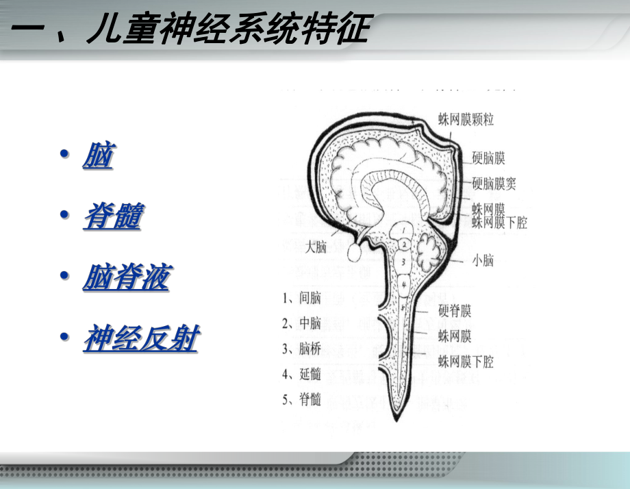 13第十三章神经系统疾病患儿护理课件.ppt_第3页