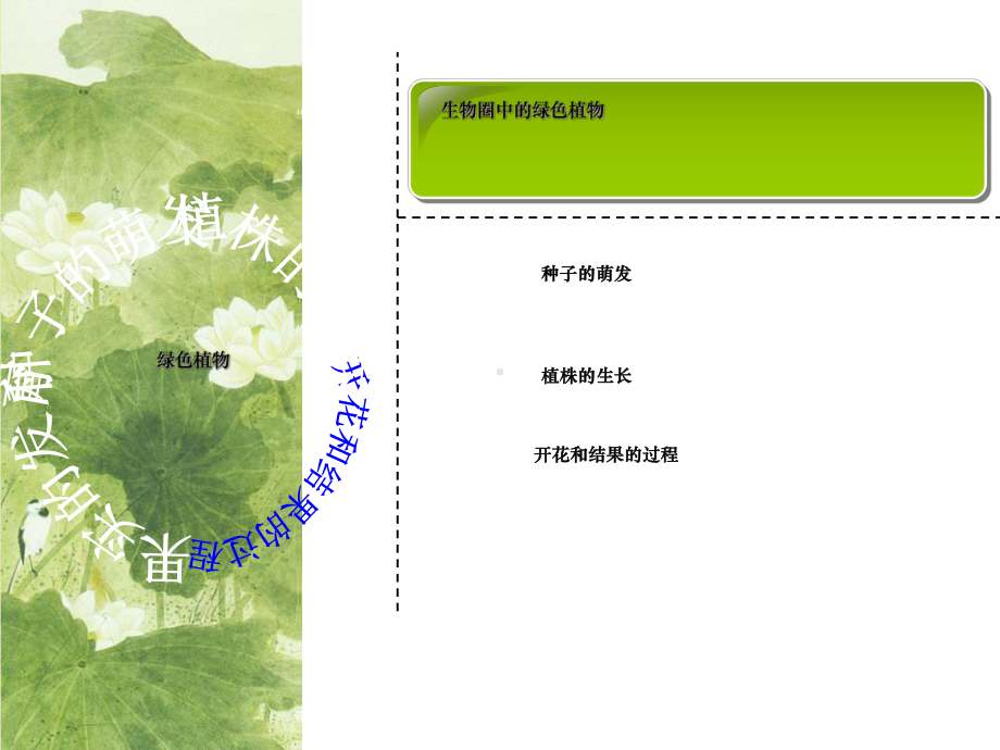 《被子植物的一生》复习课课件分解.ppt_第2页