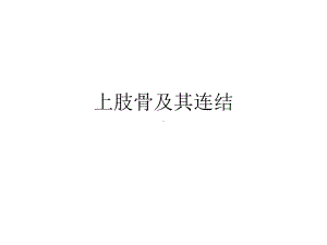 上肢骨与其连结课件.ppt