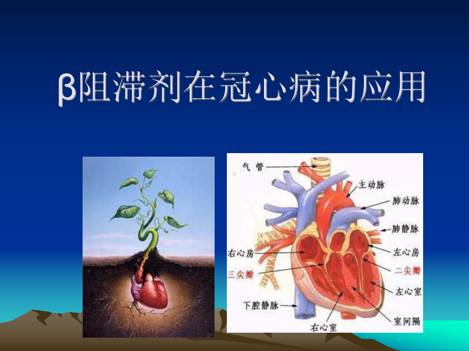 β肾上腺素能受体阻滞剂在心血管疾病应用3分析课件.ppt_第2页