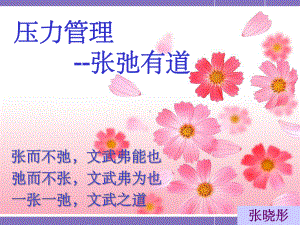 《压力管理学员》课件.ppt