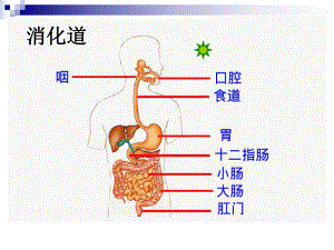 七年级生物下册2012最新第四单元第二章第三节《合理营养与食品安全》(人教版)[1]课件.ppt