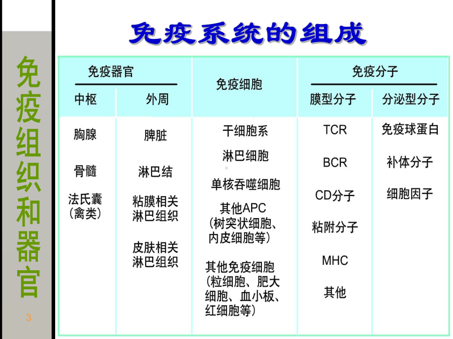 20141126免疫组织和器官1419648407 1课件.ppt_第3页